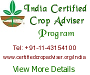 CCA Program