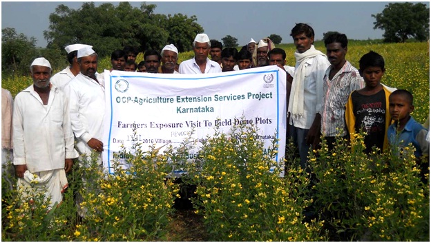 OCP- Ag Extension.jpg