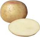 potato seed.jpg